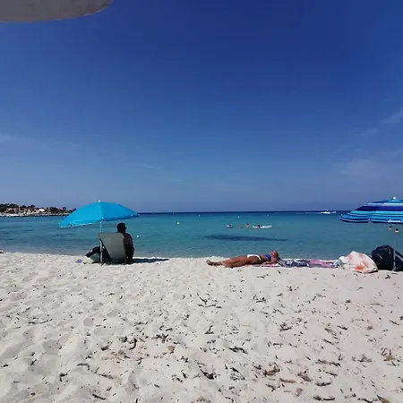 Bord De Equipe Air Conditionne 1min De La * Lumio