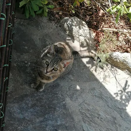 Bord De Equipe Air Conditionne 1min De La *