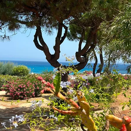 Apartment 3 Pieces Terrasse Climatise Bord De Lumio (Corsica)