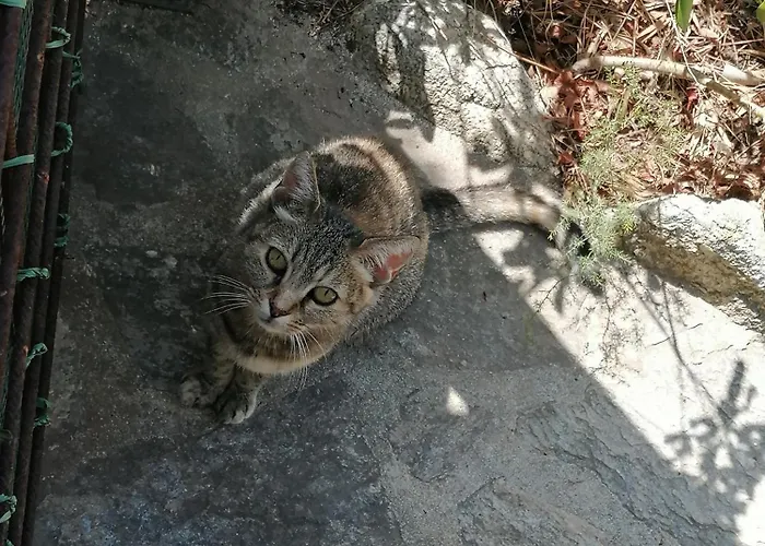 Bord De Equipe Air Conditionne 1min De La *
